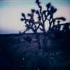 leonanaomii Altpins Profile Picture