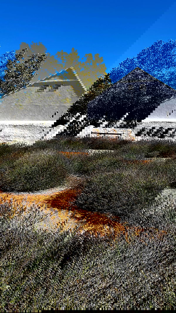 taylor.creeden taylor.creeden archive image