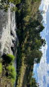 daisy_r_19 Altpins Profile Picture