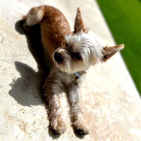 lilbieber instagram image archive image