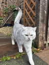 mollieruck Altpins Profile Picture