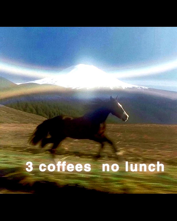 leanbeefpatty instagram image archive image