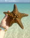amit._.bar Altpins Profile Picture