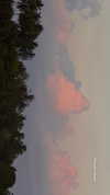 nina.kxs Altpins Profile Picture