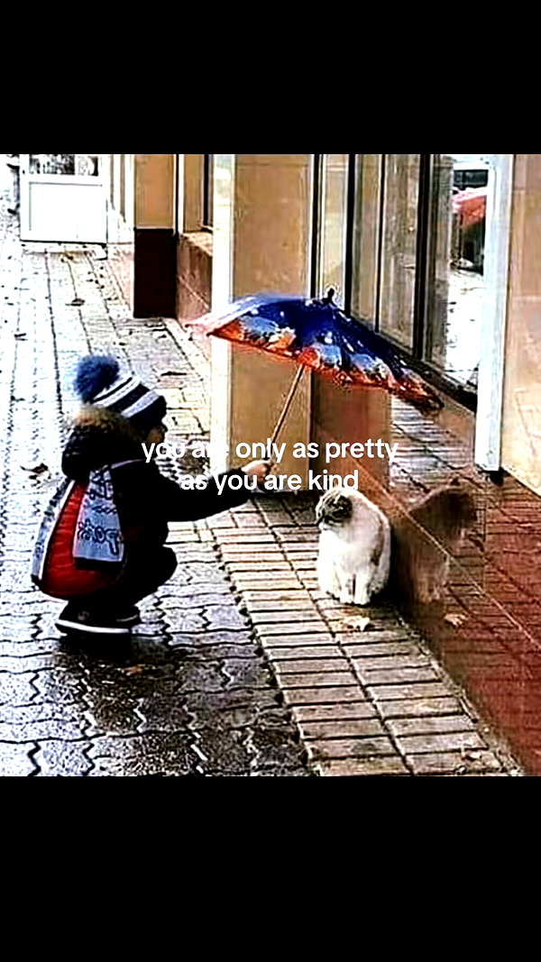 indianaajanee instagram image archive image