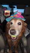 analuvillarreal Altpins Profile Picture