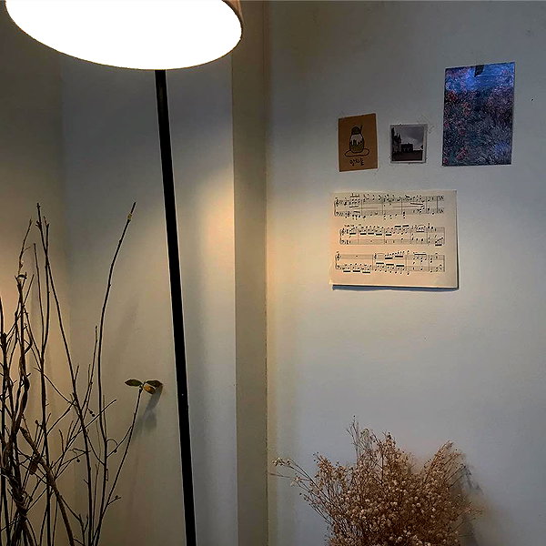 daxbin instagram image archive image