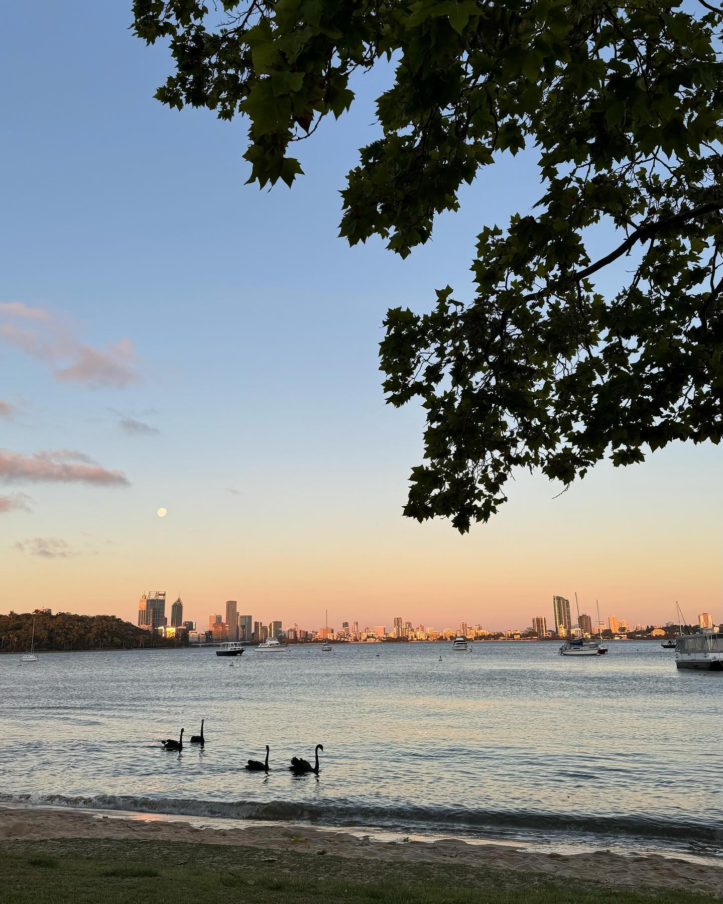 jtilb2 instagram image archive image