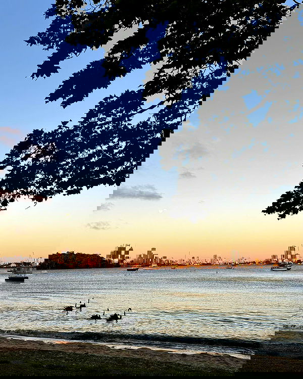 jtilb2 image ~ Altpins