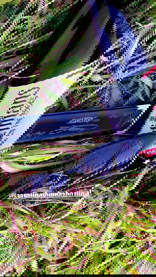 efrat_elmalich efrat_elmalich archive image