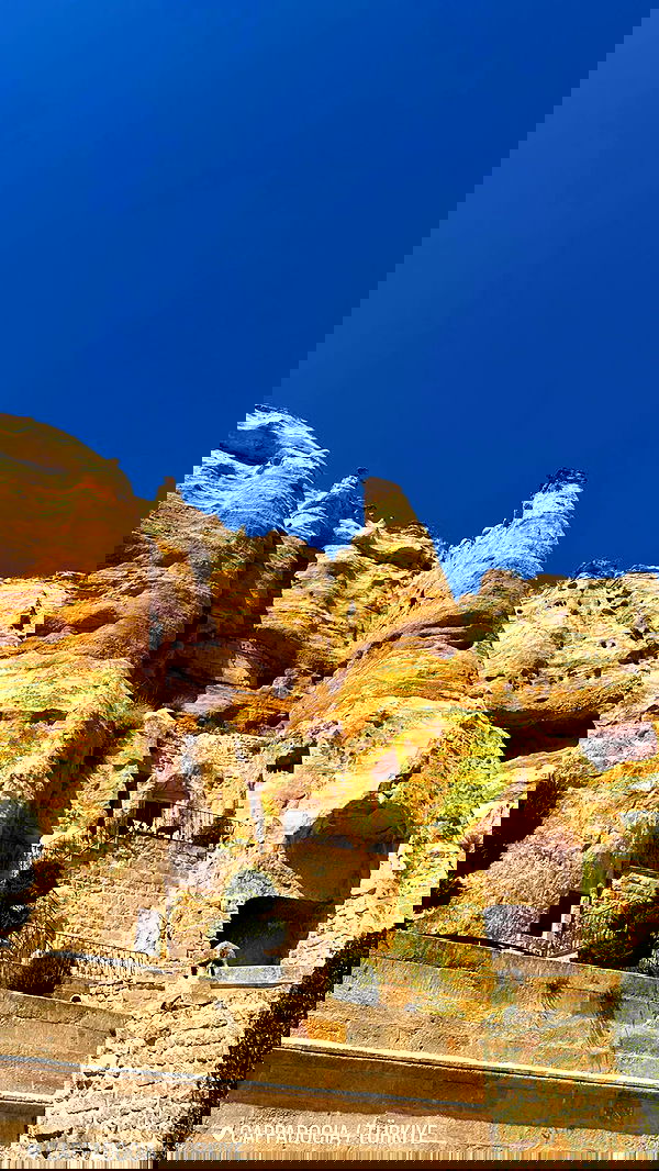 taylor.creeden taylor.creeden archive image