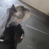 haileylayfield Altpins Profile Picture