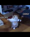 milkiwifey Altpins Profile Picture