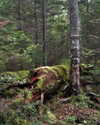 gritsa.k Altpins Profile Picture