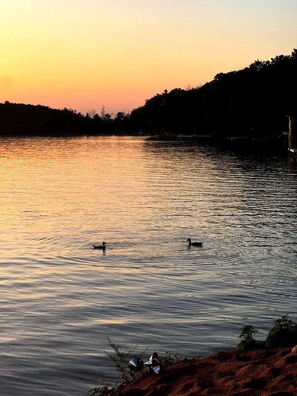 Archived image from @skyleraboujaoude on Instagram