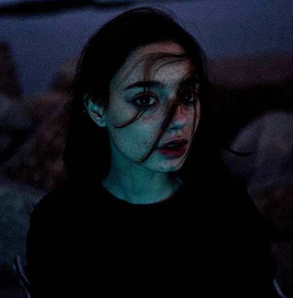 amanitalis instagram image archive image