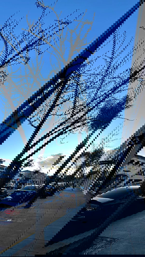 zommmbri zommmbri archive image