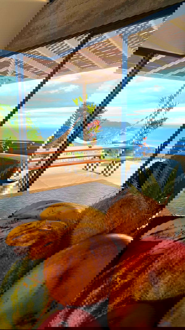 taylor.creeden taylor.creeden archive image