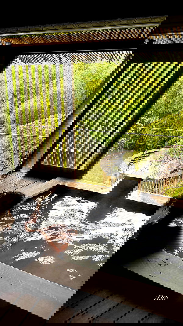 taylor.creeden taylor.creeden archive image