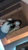 analuvillarreal Altpins Profile Picture