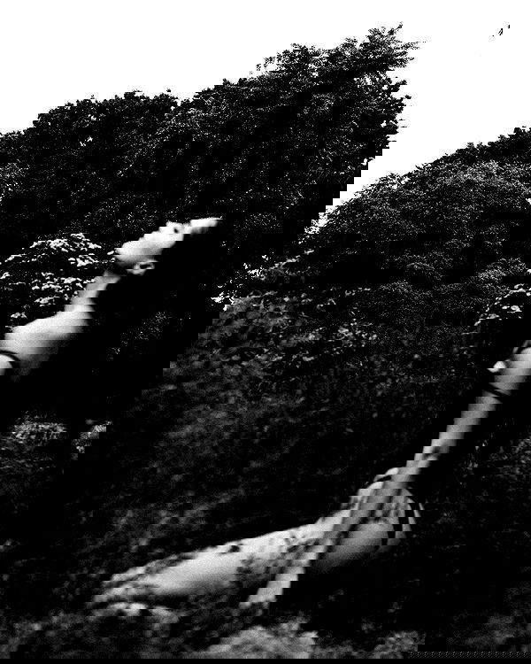 taylor.creeden taylor.creeden archive image