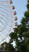 zarinamartinna Altpins Profile Picture