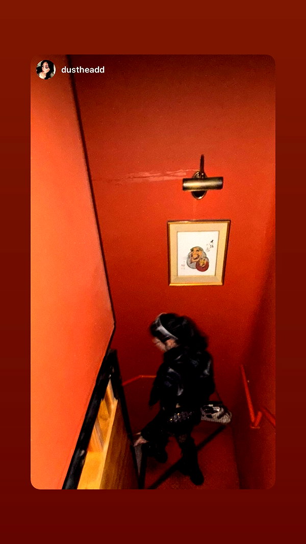 strawberryshans instagram image archive image