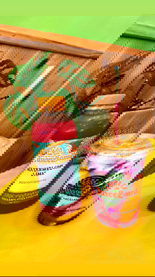 thelizzyporter thelizzyporter archive image