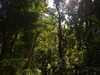 marlene_808 Altpins Profile Picture