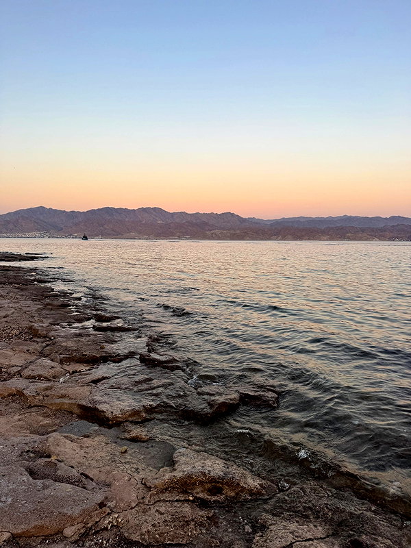 alma_ck_ instagram image archive image