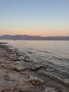 alma_ck_ Altpins Profile Picture