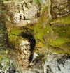 s111y_ccc0nt3 Altpins Profile Picture