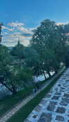 ancideja Altpins Profile Picture