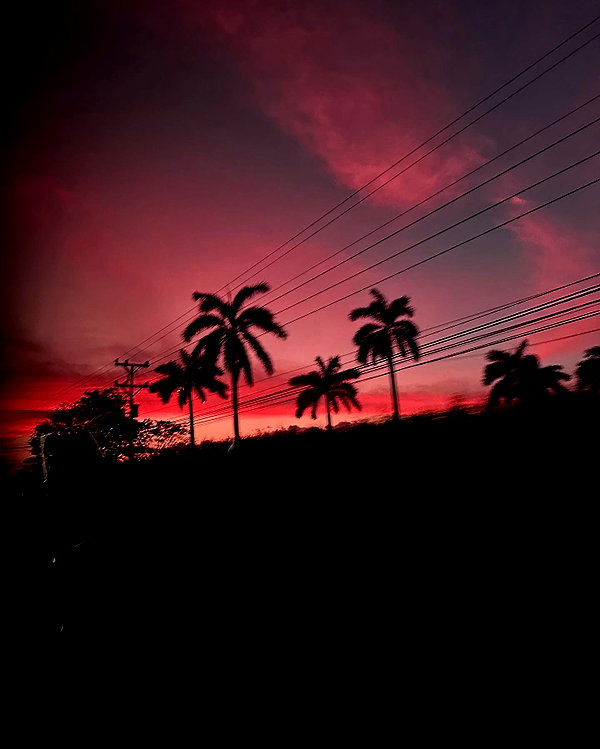 gabrielabee instagram image archive image