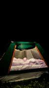 raay.seen Altpins Profile Picture
