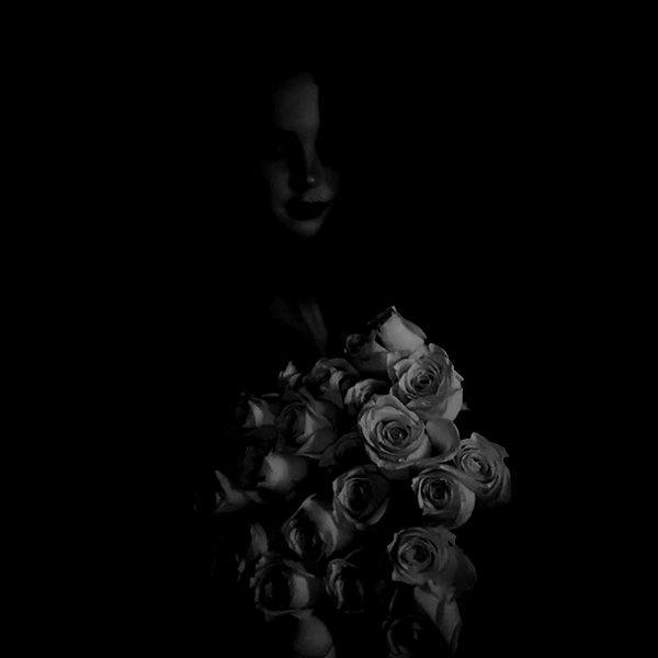 _allvi.pansk instagram image archive image