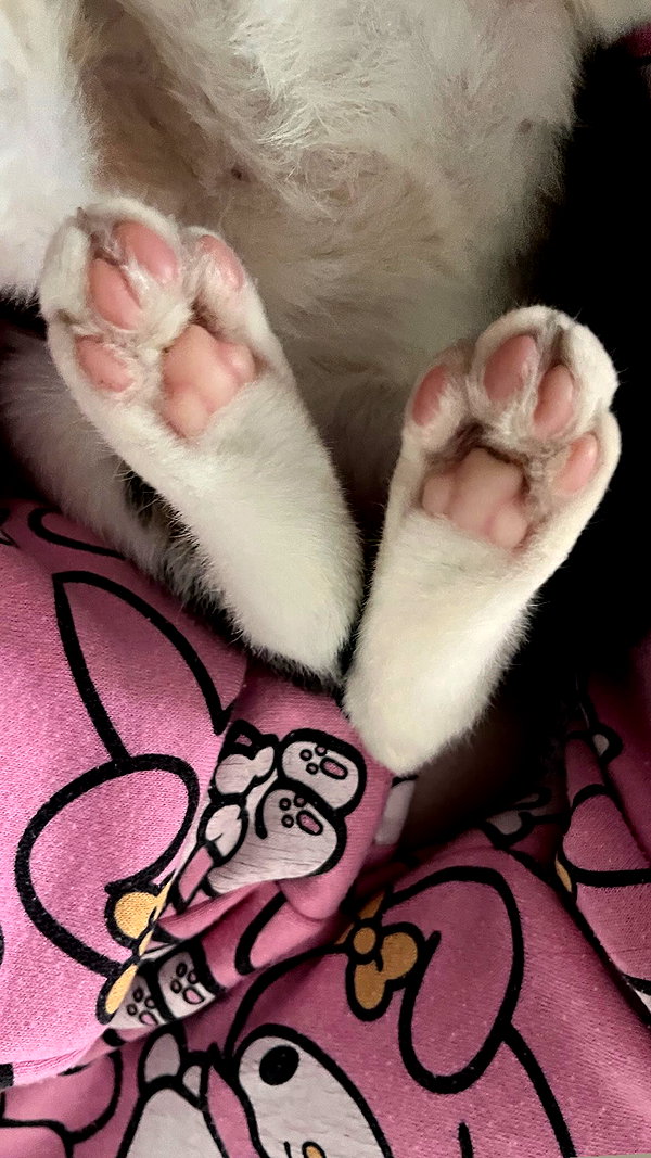 Archived image from @notchicore on Instagram