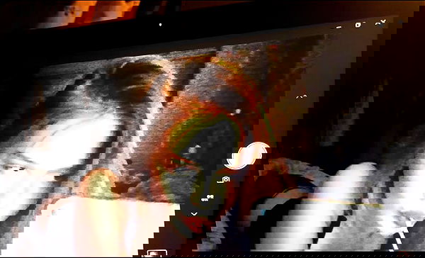 kitty.elliss kitty.elliss archive image