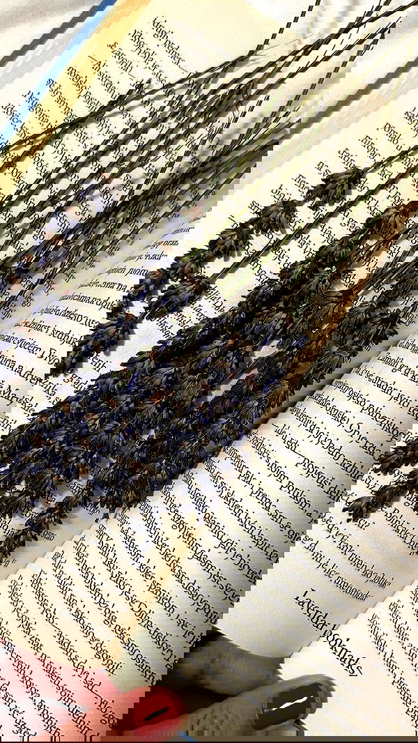 taylor.creeden taylor.creeden archive image