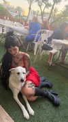 strawberryshanz Altpins Profile Picture