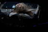 gritsa.k Altpins Profile Picture