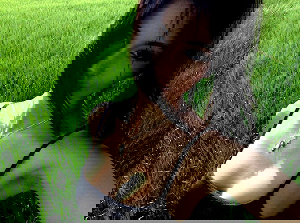 veiyul veiyul archive image