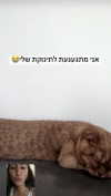 michal_cohen017 Altpins Profile Picture