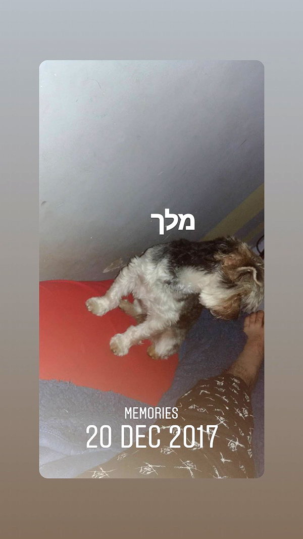 eitan.420 archive image