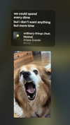 yuval5570 Altpins Profile Picture