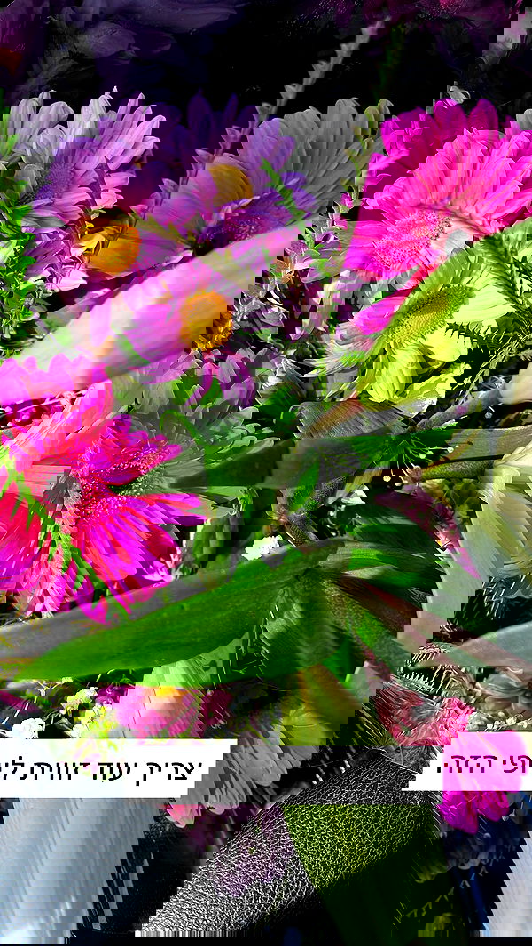 tairmar tairmar archive image