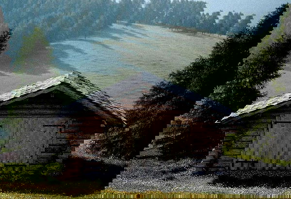 taylor.creeden taylor.creeden archive image