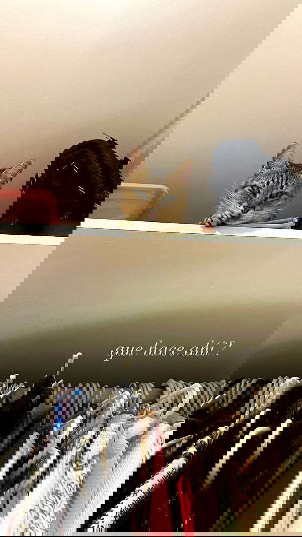 shunli__mei shunli__mei archive image