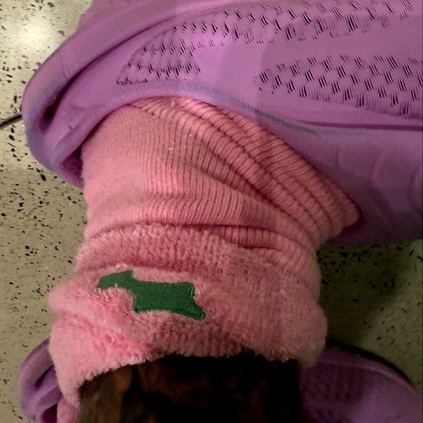 lilbieber instagram image archive image