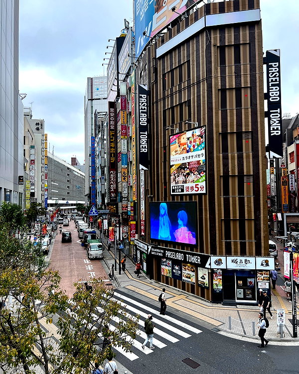 sabiyo instagram image archive image